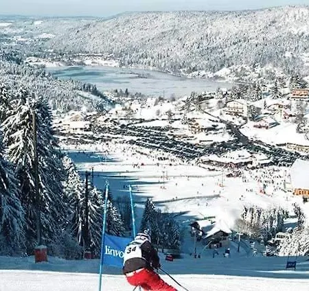 St Eloi 75m² * Saint-Dié-des-Vosges